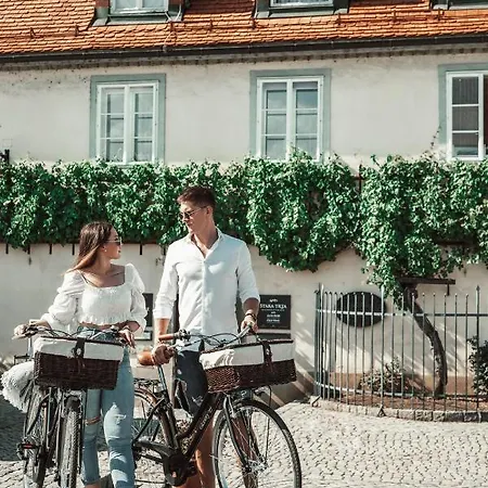 Oda ve Kahvaltı Gentry11 Rooms&more Maribor