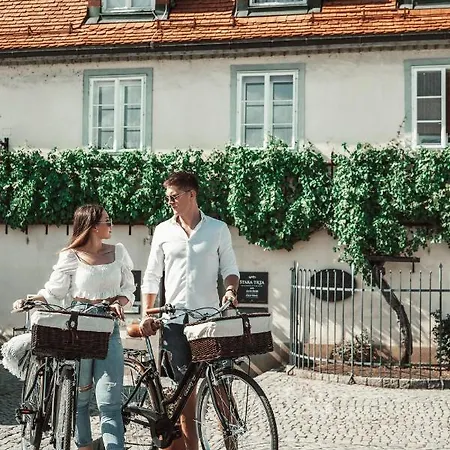 Bed & Breakfast Gentry11 Rooms&more Maribor